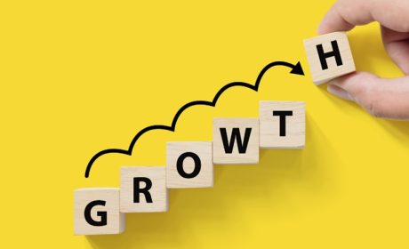 How Business Consulting Can Drive Your Company’s Growth?